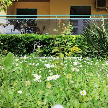 Holihome_colombo - Open Space, 100m Dal Mare!